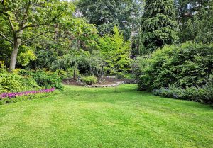 Optimiser l'expérience du jardin à Champigny-les-Langres